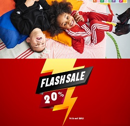 -20% Flash Sale