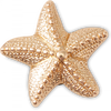 Accesorii Jibbitz by Crocs Gold Star Fish