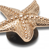 Accesorii Jibbitz by Crocs Gold Star Fish