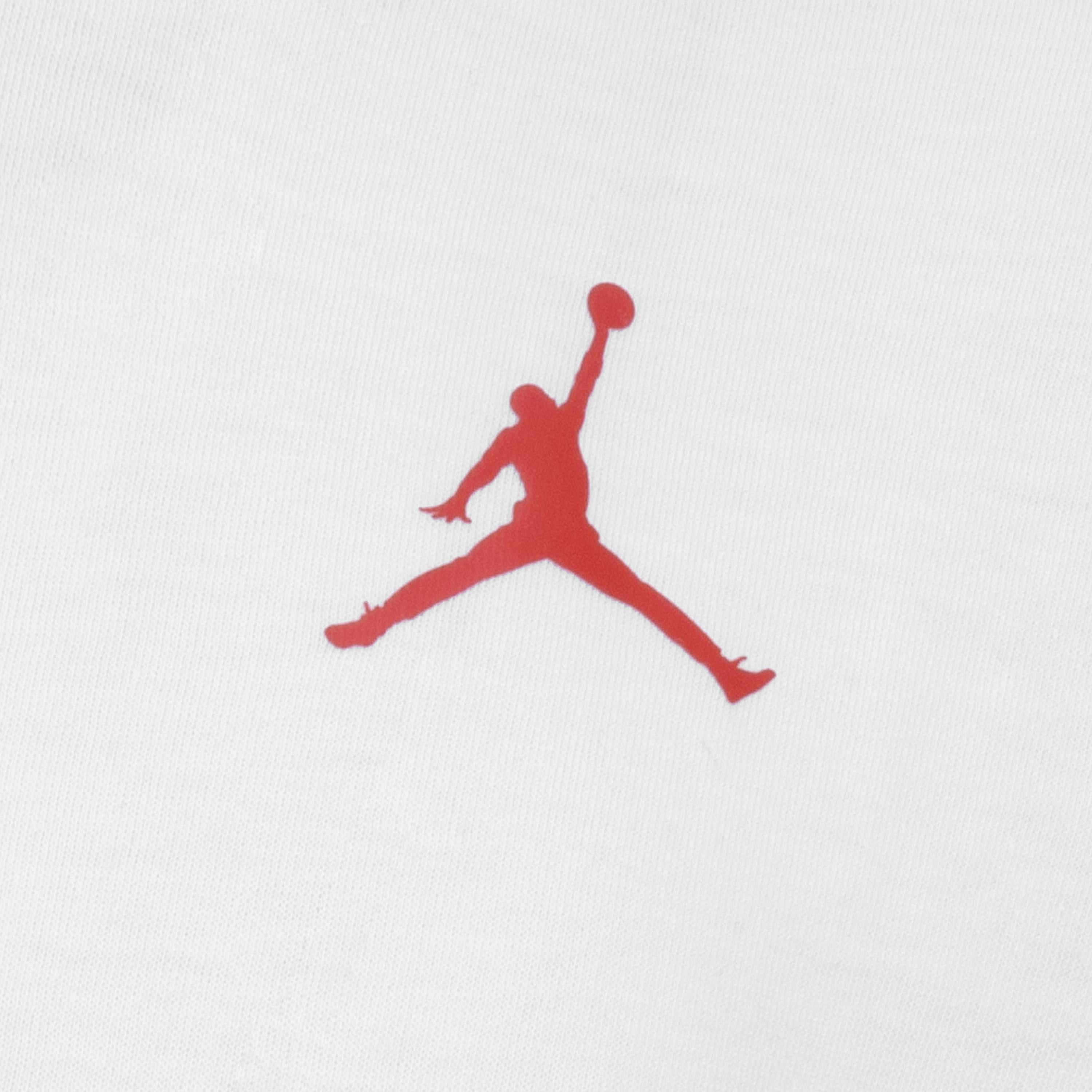 Tricou Nike Jordan The Form 2-7 ani