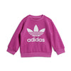 Trening adidas Originals Crew Set 0-4 ani