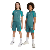 Pantaloni Scurti Seasonal Essentials Colorblock Shorts