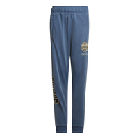 Pantaloni sport copii Adidas Graphic 12-16 ani