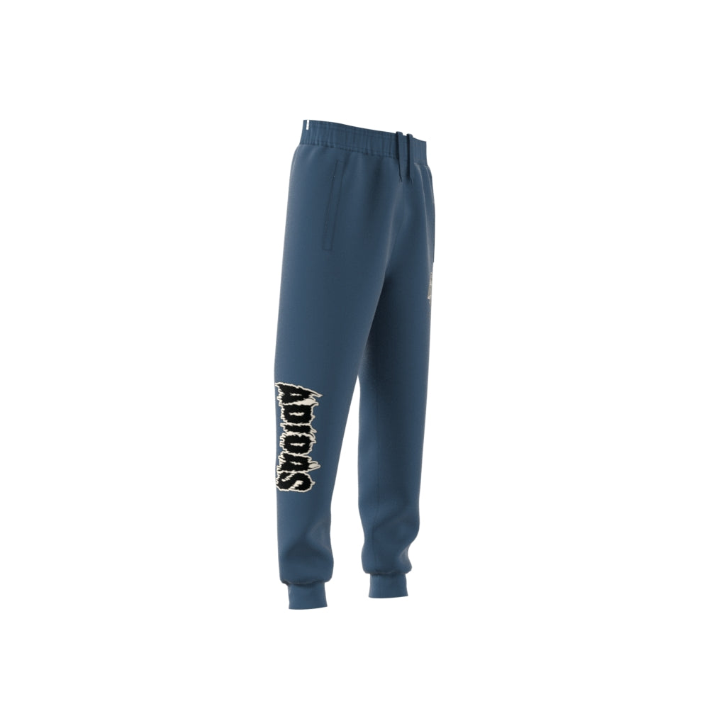 Image of Pantaloni sport copii Adidas Graphic albastri
