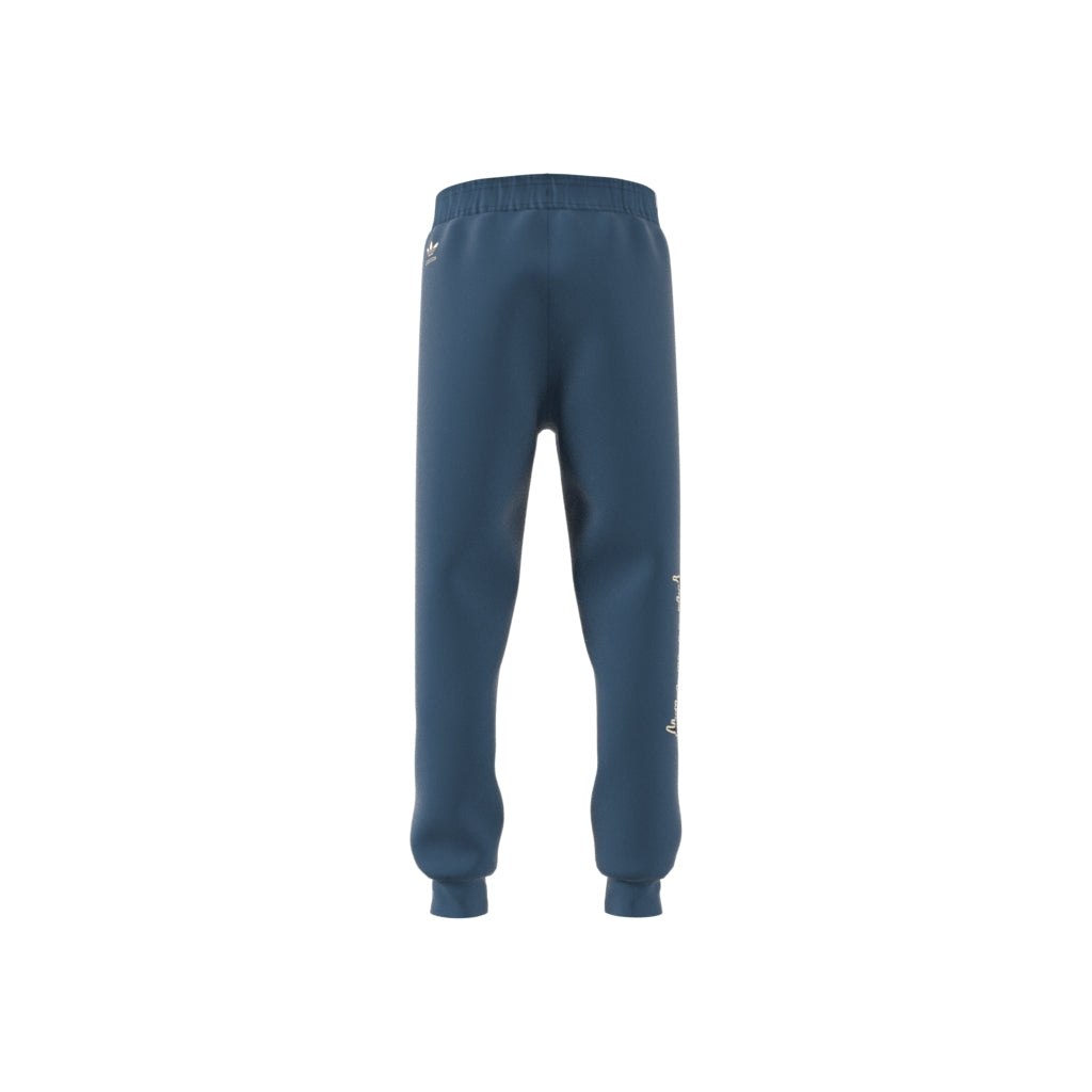 Image of Pantaloni sport copii Adidas Graphic 12-16 ani - produs intreg din pate