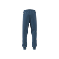 Pantaloni sport copii Adidas Graphic 12-16 ani - produs intreg din pate