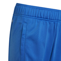 Pantaloni trening copii albastri