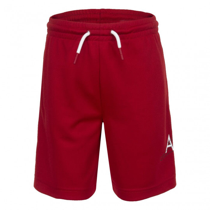 Pantaloni scurti Nike Jumpman Big Air Mesh 3-4 ani